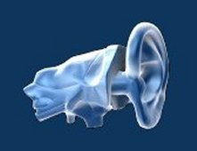 Ear